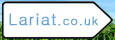 Lariat - green web design
